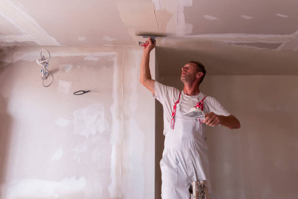 Best Ceiling Drywall Installation  in Hartwell, GA